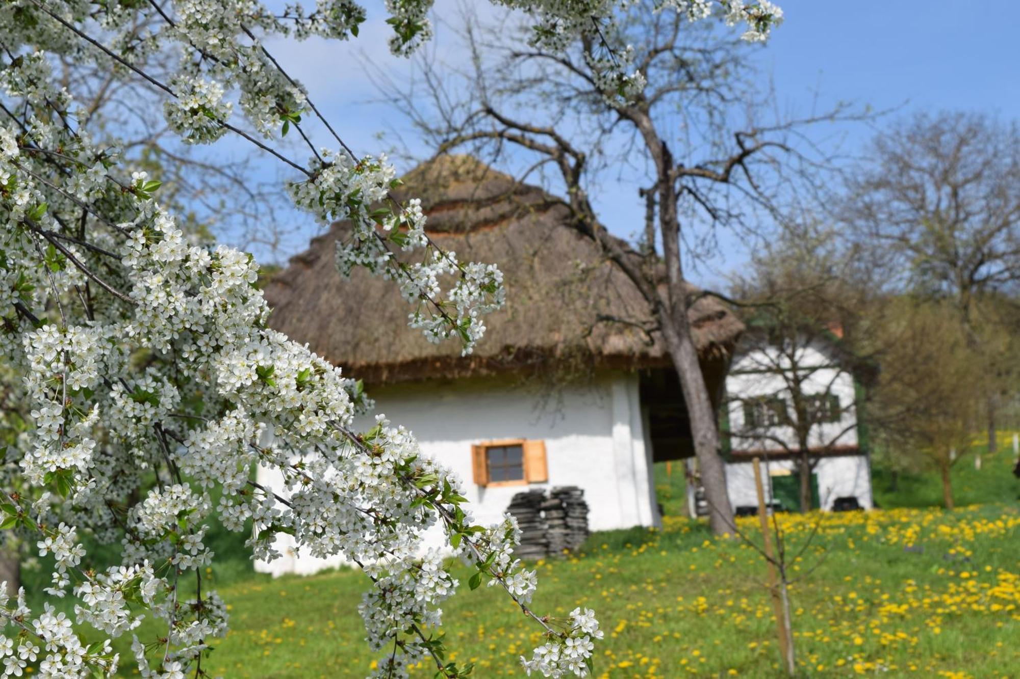 Genussgasthof & Hotel Beim Krutzler Heiligenbrunn Esterno foto